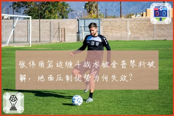 张伟丽笼边缠斗战术被舍普琴科破解，地面压制优势为何失效？