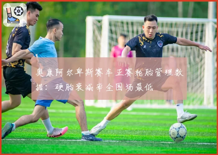 奥康阿尔卑斯赛车正赛轮胎管理数据：硬胎衰减率全围场最低