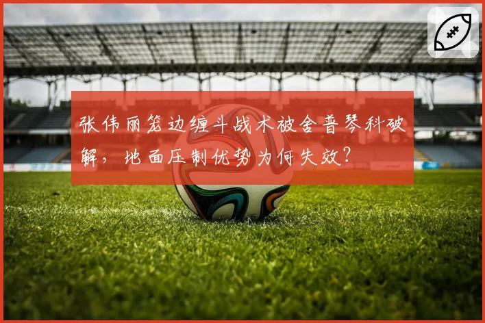 张伟丽笼边缠斗战术被舍普琴科破解，地面压制优势为何失效？