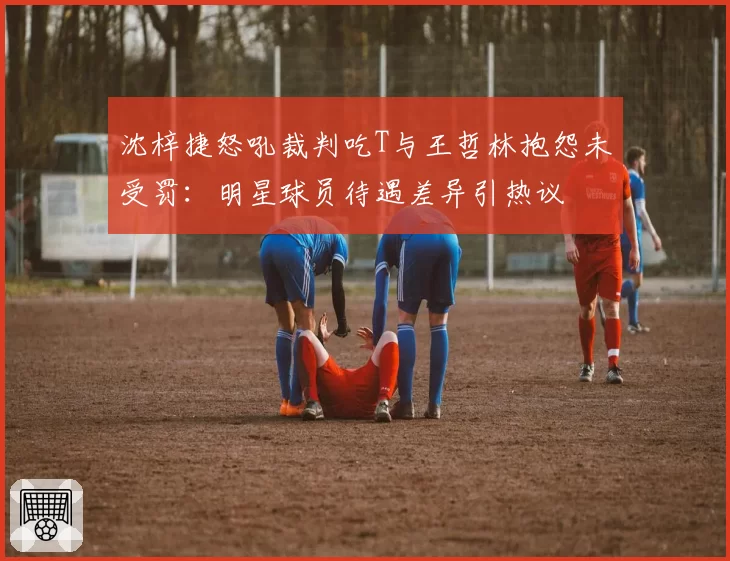 沈梓捷怒吼裁判吃T与王哲林抱怨未受罚：明星球员待遇差异引热议